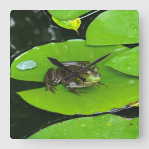 Bullfrog op Lilypads Vierkante Klok