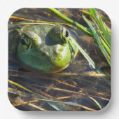 Bullfrog Papieren Bordje (Voorkant)
