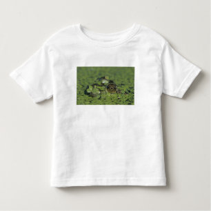 Bullfrog, Rana catesbeiana, volwassen in eendenkro Kinder Shirts