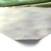 Bullfrog Thoughts-Natuur Poster (Hoek)