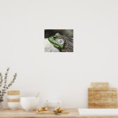 Bullfrog Thoughts-Natuur Poster (Keuken)