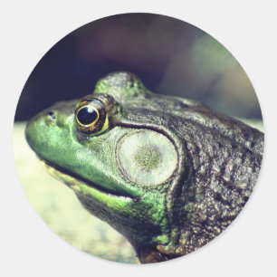 Bullfrog Thoughts-Natuur Ronde Sticker