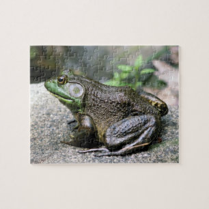 Bullfrog, vergadering op Rock Natuur Legpuzzel