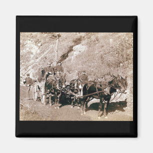 Bullion Stage Coach  Magneet