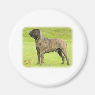 Bullmastiff 9R071D-077 Magneet