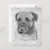 Bullmastiff Briefkaart (Voorkant / Achterkant)