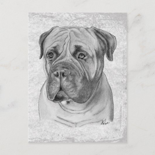 Bullmastiff Briefkaart (Voorkant)
