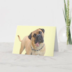 Bullmastiff carte d'anniversaire par accent pour u