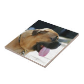 Bullmastiff Dog Tegeltje (Zijkant)
