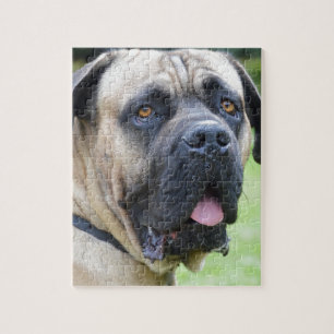 Bullmastiff Legpuzzel