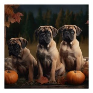 Bullmastiff Puppy Herfst Delight Pompoen Perfect Poster