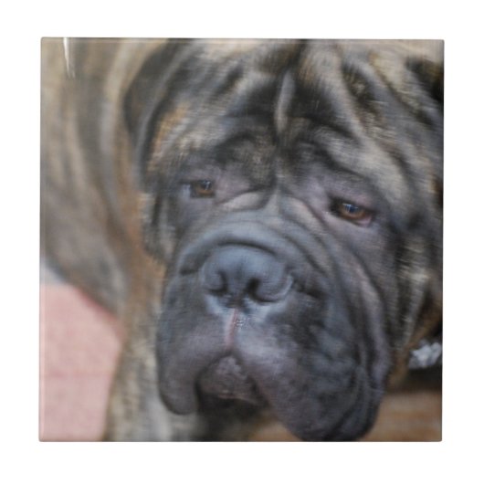Bullmastiff Tile Tegeltje (Voorkant)