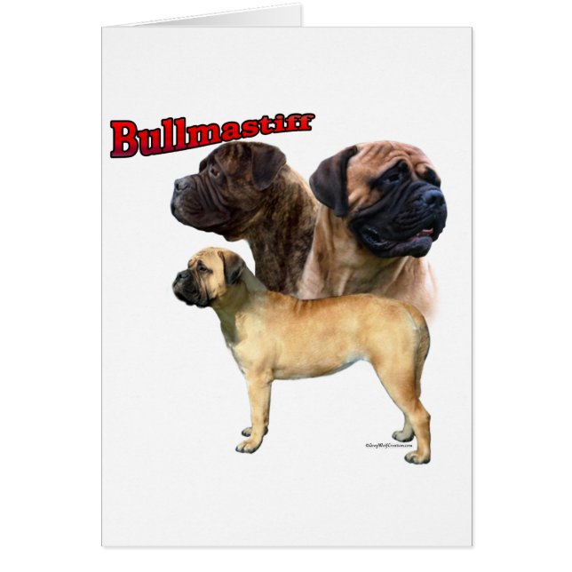 Bullmastiff Trio 2 (Devant)
