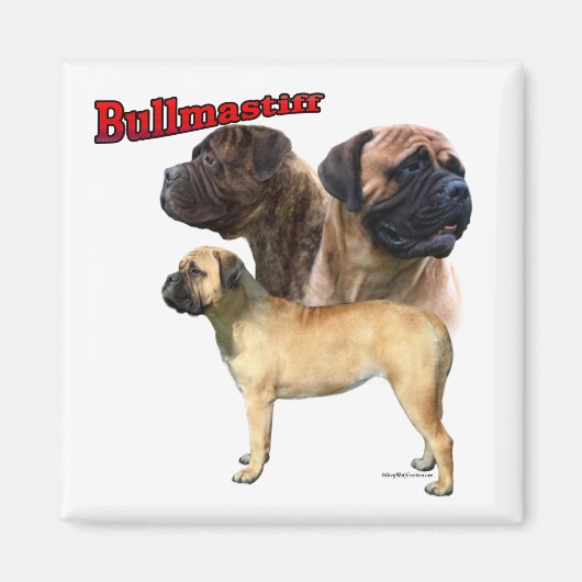 Bullmastiff Trio 2 - Magneet (Voorkant)