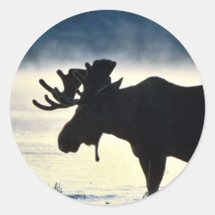 Bullmolen Ronde Sticker