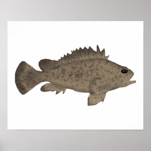 Bullrout Poster (Voorkant)