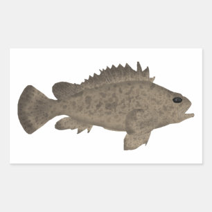 Bullrout Rechthoekige Sticker