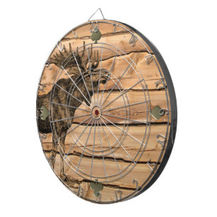 Bull's-eye Dart Board - omvang regelgeving Dartbord