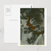 Bull's Folk van de Bossen Briefkaart (Voorkant / Achterkant)
