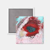 BULLS MAGNEET (Voorkant / Achterkant)