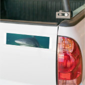 Bullshark Bumpersticker (Op Truck)