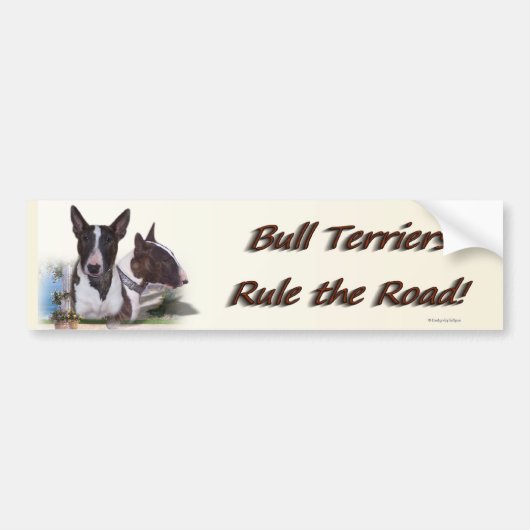 bullshier_bumpersticker bumpersticker (Voorkant)