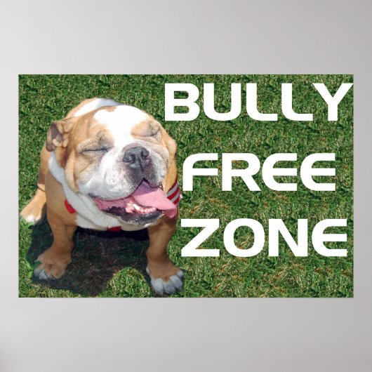 BULLY FREE ZONE 52" x 35" poster (Voorkant)