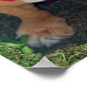 BULLY FREE ZONE affiche 52" x 35" (Coin)