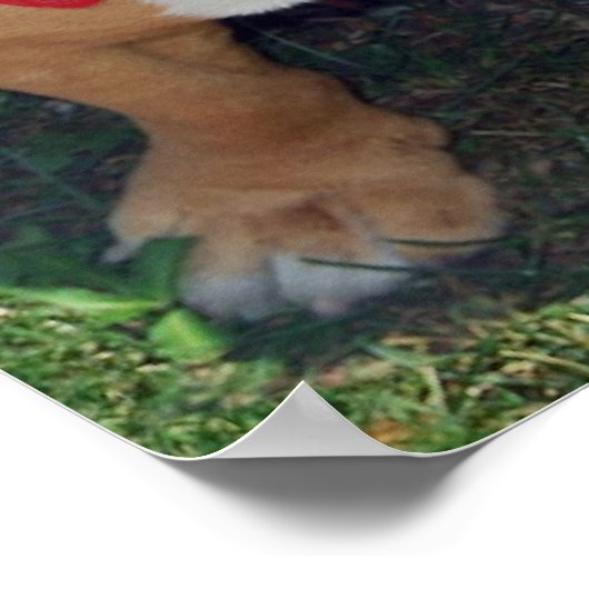 BULLY FREE ZONE affiche 52" x 35" (Coin)