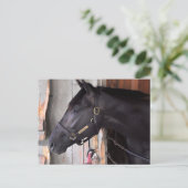 Bully Proof by Bellamy Road Flaming Slew Briefkaart (Staand voorkant)