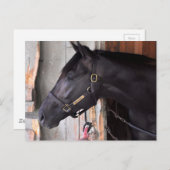 Bully Proof by Bellamy Road Flaming Slew Briefkaart (Voorkant / Achterkant)