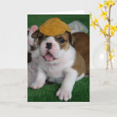 BullyBreeze - froid - de Chillin carte de voeux - (Fleur jaune)