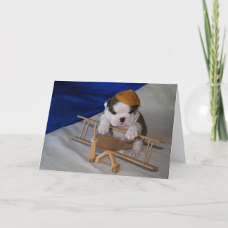 BullyBreeze - Pania - aviateur - carte de voeux