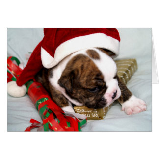 BullyBreeze - pot de punt - Gift Time - Kaart