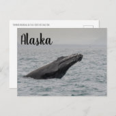 Bultrug Breach Alaska Briefkaart (Voorkant / Achterkant)