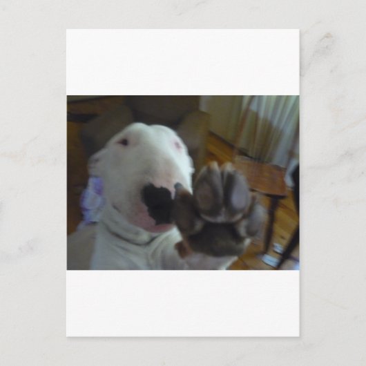 bultrug briefkaart (Voorkant)