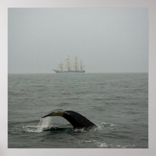 Bultrug en hoog schip 2 print