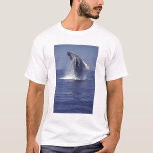 Bultrug springt uit het water (Megaptera T-shirt