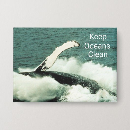 Bultrug Whale Beauty Breaking: Button (Voorkant)