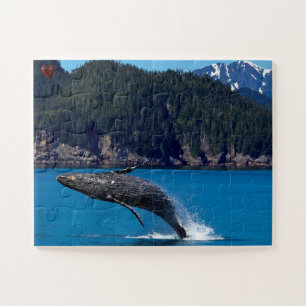 Bultrugwalvis Alaska Legpuzzel