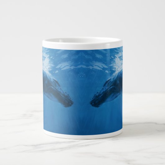 Bultrugwalvis Extra Grote Beker (Voorkant)