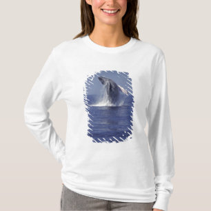 Bultrugwalvis springt uit het water (Megaptera T-shirt