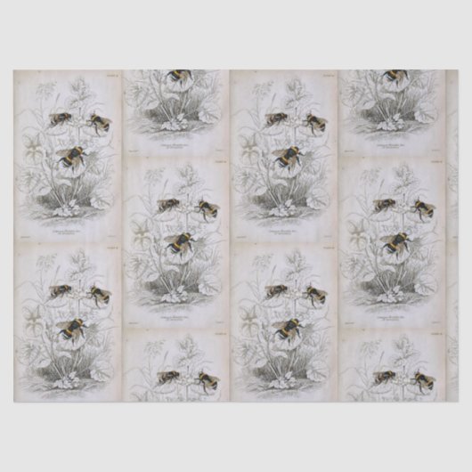 Bumble Bee Botanical Tissue Paper Tissuepapier (Voorkant)