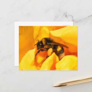 Bumble Bee Briefkaart