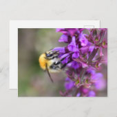 Bumble Bee Briefkaart (Voorkant / Achterkant)