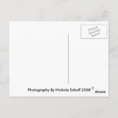 Bumble Bee Briefkaart (Achterkant)