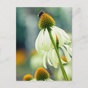 Bumble Bee Briefkaart