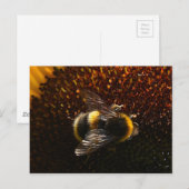 Bumble Bee Briefkaart (Voorkant / Achterkant)