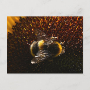 Bumble Bee Briefkaart