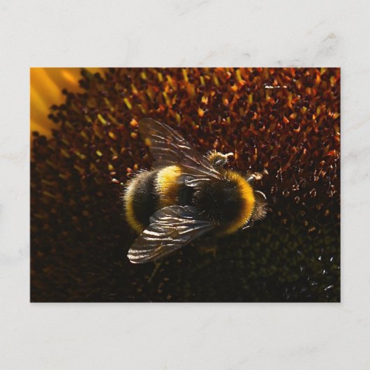 Bumble Bee Briefkaart (Voorkant)